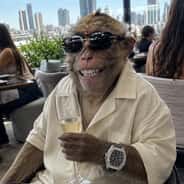 TP Bull