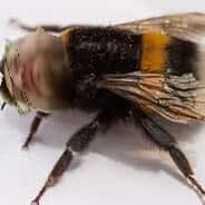 Kmoller
