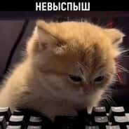 ШУРШАВЧИК БЭЭУ