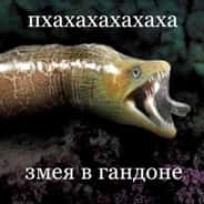 Змея В Гандоне