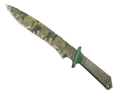 Boreal Forest